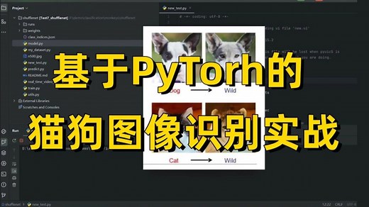 研一、研二必学！猫狗识别代码详解一迪哥手把手带你基于PyTorch CNN实现猫狗二分类，学完就能跑通！