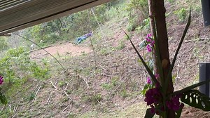 Solitario Musical on Reels