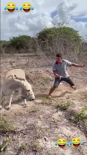 “Try Not To Laugh Challenge 😂 #EpicFails #FunnyShorts #TryNotToLaugh #FailCompilation #ViralFails