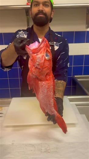 Fresh Kinki Rockfish — also known as Idiot Rockfish — on the table today for a clean chef’s cut. This unique deep-water fish offers rich, high-quality meat with a naturally sweet flavor and beautiful texture. Perfect for pan-searing, grilling, or preparing premium sashimi-style dishes when handled correctly. A few pro tips for working with Kinki: • Keep the fish very cold before cutting to preserve firmness. • Use a sharp, long blade for smooth fillet removal. • Light seasoning or a citrus touch