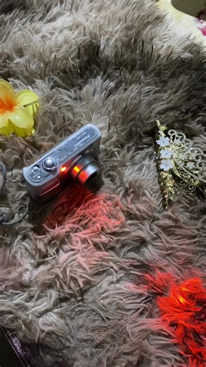 Panasonic DMC-LS80 Repair Guide for Screen Burn Issue