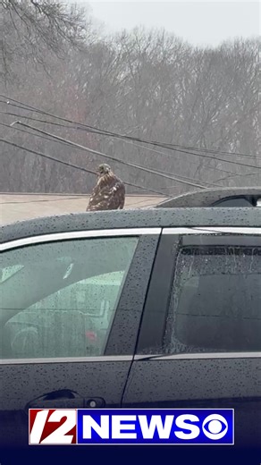 Tens of thousands of Rhode Islanders are without power due to severe weather, but the wind and rain didn't seem to bother one local resident spotted enjoying the mild temperatures in Woonsocket Friday morning. Get updates here: https://www.wpri.com/weather/thousands-lose-power-as-strong-storm-rolls-through/ | WPRI 12