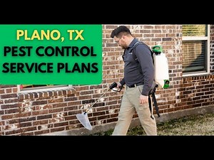 Plano TX Pest Control Update: Affordable Pricing, New Plans, & 5-Star Service