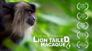 The Kingdom of the Lion Tailed Macaque - A Wildlife Documentary by Poorna Kedar