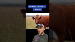 Lets Talk About Virtual fencing, satellite guided cattle
