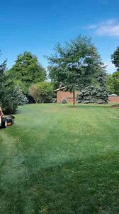 Uneven Lawn? Here’s How to Fix It With One Mow