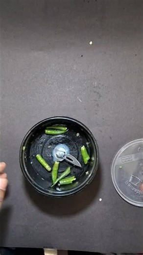 Homemade Chilli cutter machine using DC motor #scienceproject #experiment