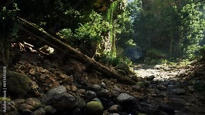 A stream meanders through a dense, vibrant green forest, adding movement and life to the tranquil landscape.