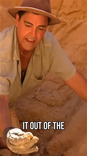 Could a fortune be buried right beneath your feet? This opal hunter uncovered a dazzling secret hidden inside a seemingly ordinary wall. #OutbackOpalHunters | Aussie Gold & Opal Hunters