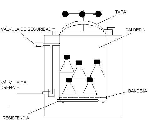 Autoclave - Prácticas Microbiología UMH