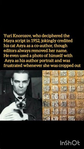 When Linguistics Met a Cat: The Yuri Knorozov Story، #history #facts #cat #didyouknow #shorts