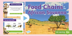 Lion Food Chain PowerPoint
