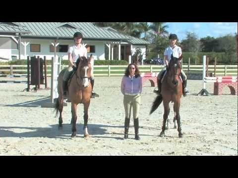 Learn How to Hand Gallop Jumps from Stacia Madden