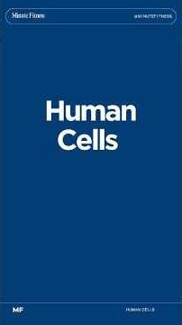 Cells and Energy Production Anatomy in 1 Minute #cellbiology #metabolism #exercisephysiology