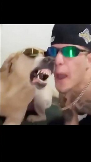 Funny Beatboxing with My Dog | Hilarious Human-Dog Duo! 😂🎤🐶