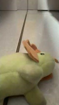 27 de fevereiro de 2026