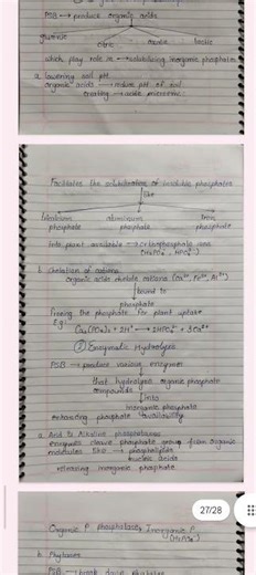 Biofertilizer (phosphate solubilizing)
