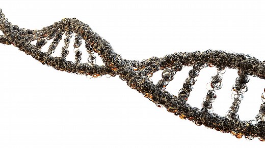 Why Is Everyone's DNA Different? Let's Know!