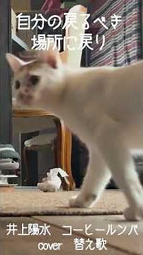 [Parody] The Roomba runs for its life while cats judge it! 🐈‍⬛🎶 | Coffee Rumba (Inoue Yosui Cover)
