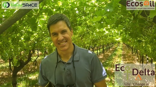 Hoe lyk 'n druiwe boord na 2 seisoene sonder chemiese kunsmis? Ons gesels met Niel Kirsten oor sy ervaring met Ecosoil en die resultate wat hy gekry het. Vir enige navrae, vul in die kontak vorm op die volgende links: https://app.getresponse.com/site2/9f56251743339a3293024b2d70166917/?u=CJrtz&webforms_id=werq8 https://ecosoil.co.za/contact-us/?fbclid=IwY2xjawIs5aFleHRuA2FlbQIxMAABHSdBarB7fHuYtj0EU1N3kEwwXPBJWN_RmUBXDw0o1f0AQB2-sld8zjgWvw_aem_N0CgKp4Ag0_0rbFI-U96HQ #Ecosoil #Organies #Kunsmis #Fa