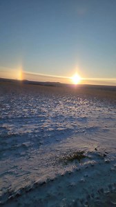 Beautiful morning 🙏 | IowaDairyFarmer