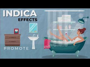 Understanding Cannabis: Indica vs Sativa Effects