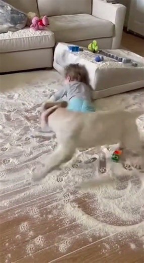 Cutest Puppy and Baby Funny Moment 🤍🐾 | Real Home Video, This is what joy really looks like 😄