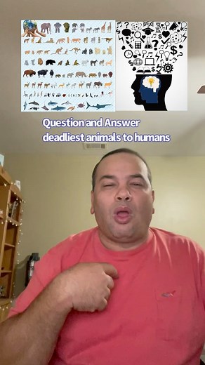 Question and Answer 3 deadliest animals to humans | Global Deaf news by Abbas