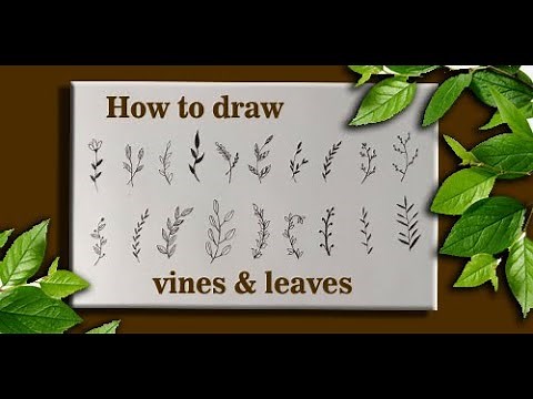 How to draw leaves and vines | simple drawing