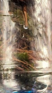 Can You Really Filter Water That Easily? | Science, Tech and Universe