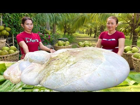 Beef Tripe Cooking | How To Cook Cow Stomach | Spicy Honeycomb Tripe