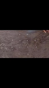 Festivals Rangoli Designs  24/7 Rangoli  Beautiful Flower Muggulu with Colours  Simple Rangoli #kolamdesigns #mugguludesigns #rangoli #muggulu #flowerkolam #dailyrangolidesigns #rangolidesigns #kolamdesigns #simplerangoli #easyrangoli #smallrangoli #kolamwithdots #dailyrangolidesigns #padikolam | Rangoli kolam | Facebook