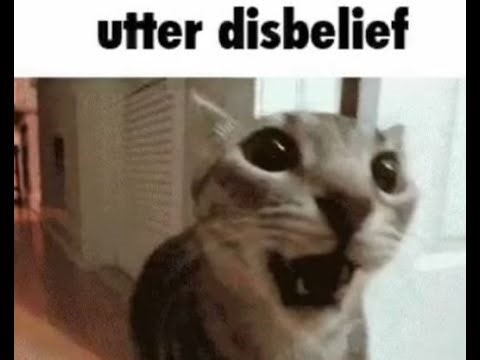 Die Maschine EE attempt with HSB333