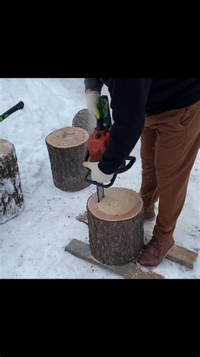 驚きの工芸品！口かけた気から作った作品