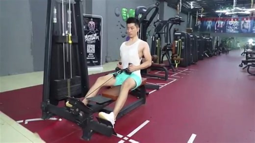 Fitness Tricep LAT Pulldown Press Down Bar Handle Attachment for Pulley System Cable Machine