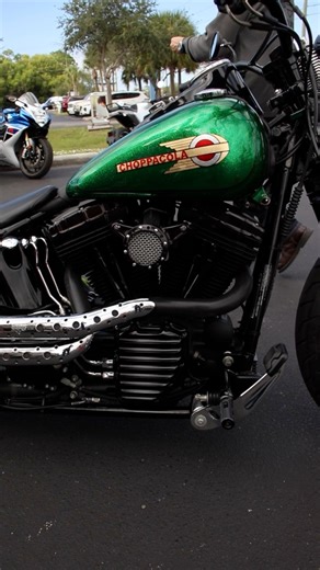 Green Softail Crossbones #onlyatberts | Bert's Black Widow Harley-Davidson