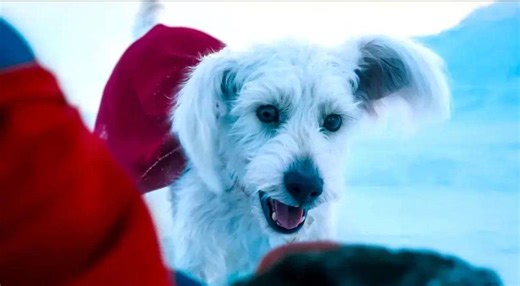 Krypto’s Wild Origin in James Gunn’s Superman Movie