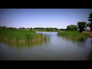 Campground Review ~ Bosque Redondo Lake, Fort Sumner, New Mexico