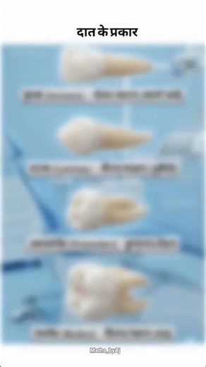 Types of teeths🎯 #science #biology #education #learning #easyscience #teeth #rssb #ssc #studiestoday