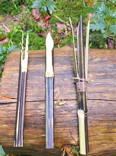 Bambus-Speer mit austauschbaren Jagdspitzen