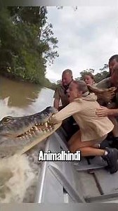 Most Surprising animal moments #hindi #animals #wildliferescue