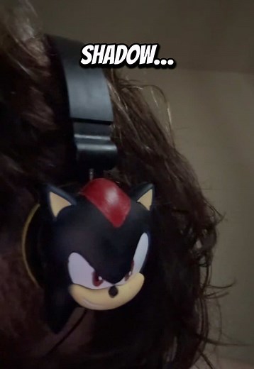 Understanding Autism Regresions and Executive Dysfunction