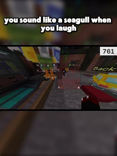 You Sound Like A Seagull!... #funnyclips #minecraft #hivemc #shorts