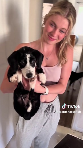 Getting a New Tank for Finn the Pufferfish