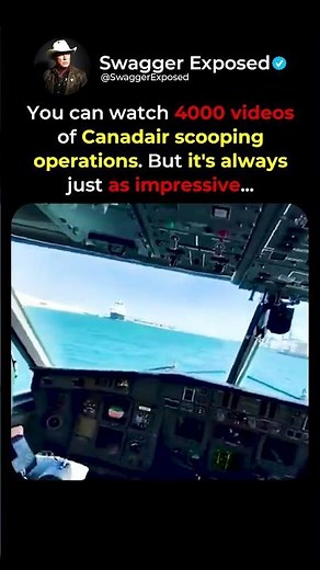 Landing a Canadair Superscooper in a Busy Port 🌊✈️