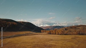Altai Republic, Siberia, Russia. Rare trees, a highway in an endless field and steppe and huge snowy mountains in the background. Aerial view of the beautiful autumn wildlife of the Altai Territory