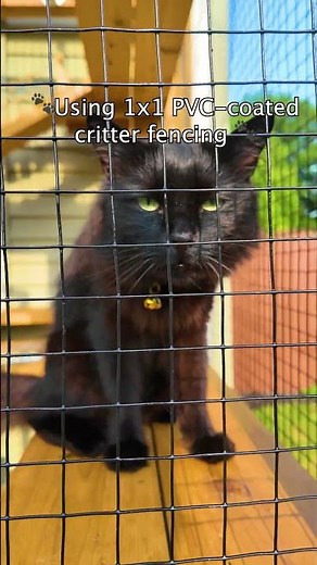 Check tour this custom cedar catio! 😻🐾 #catio #catenclosure #catpatio