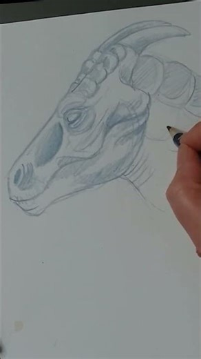 Drawing a Beginner dragon head is this easy!