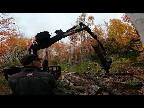 First load of logs home from what we cut last fall.
