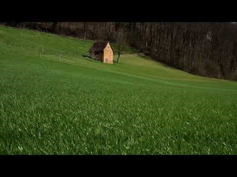 Wind in the Meadow ASMR | Relaxing Nature Sounds for Deep Sleep🏠🌿🌬